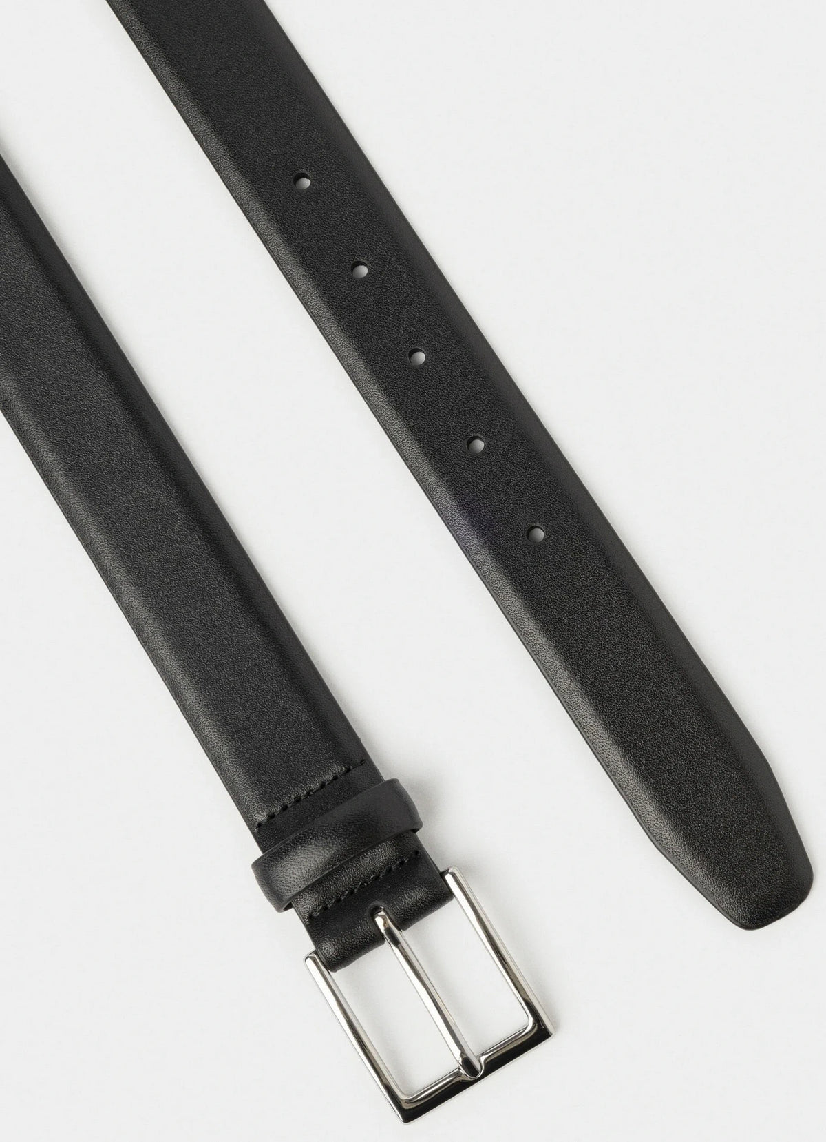 Cactus Edge Brown Belt