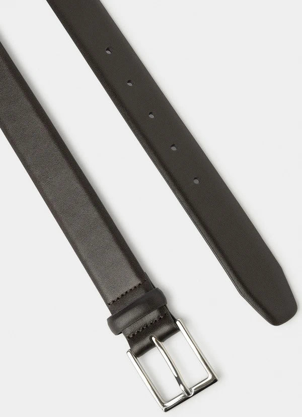 Cactus Edge Brown Belt