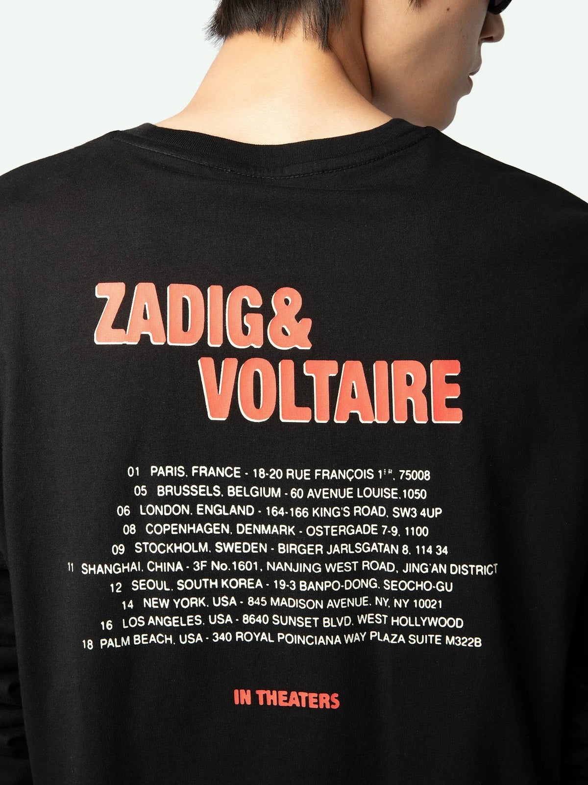 Dinosaur Concert Black T-Shirt