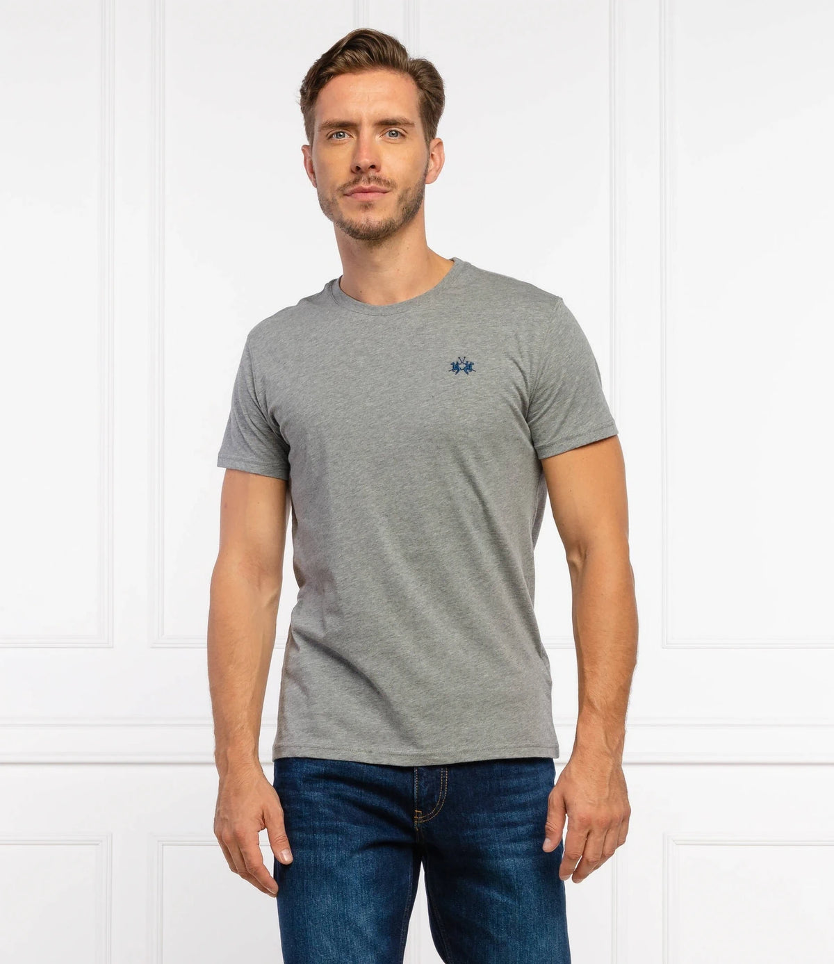 Regular Fit Grey T-Shirt