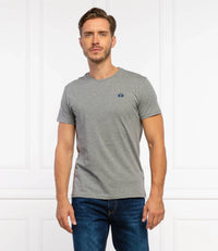 Regular Fit Grey T-Shirt