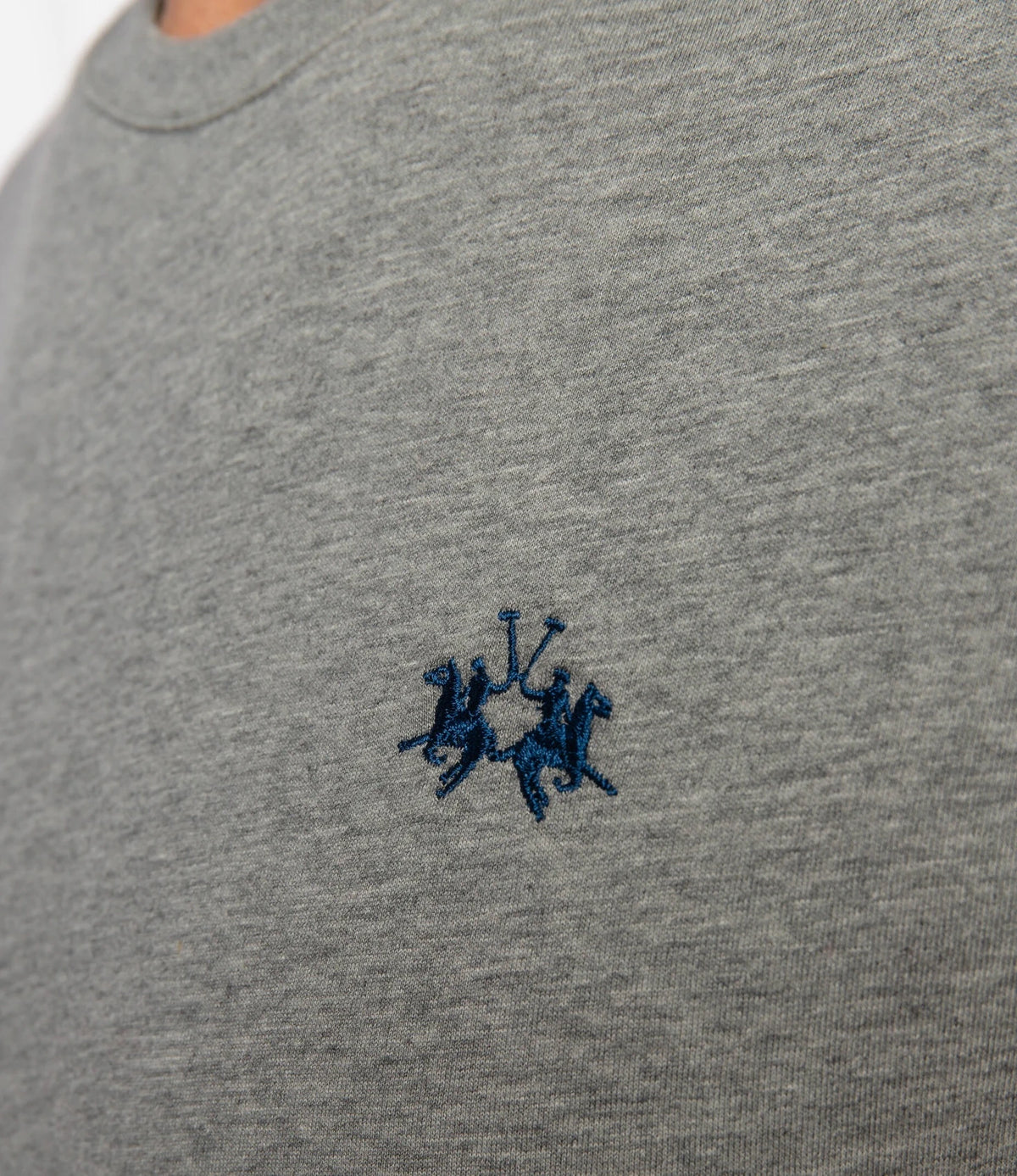 Regular Fit Grey T-Shirt