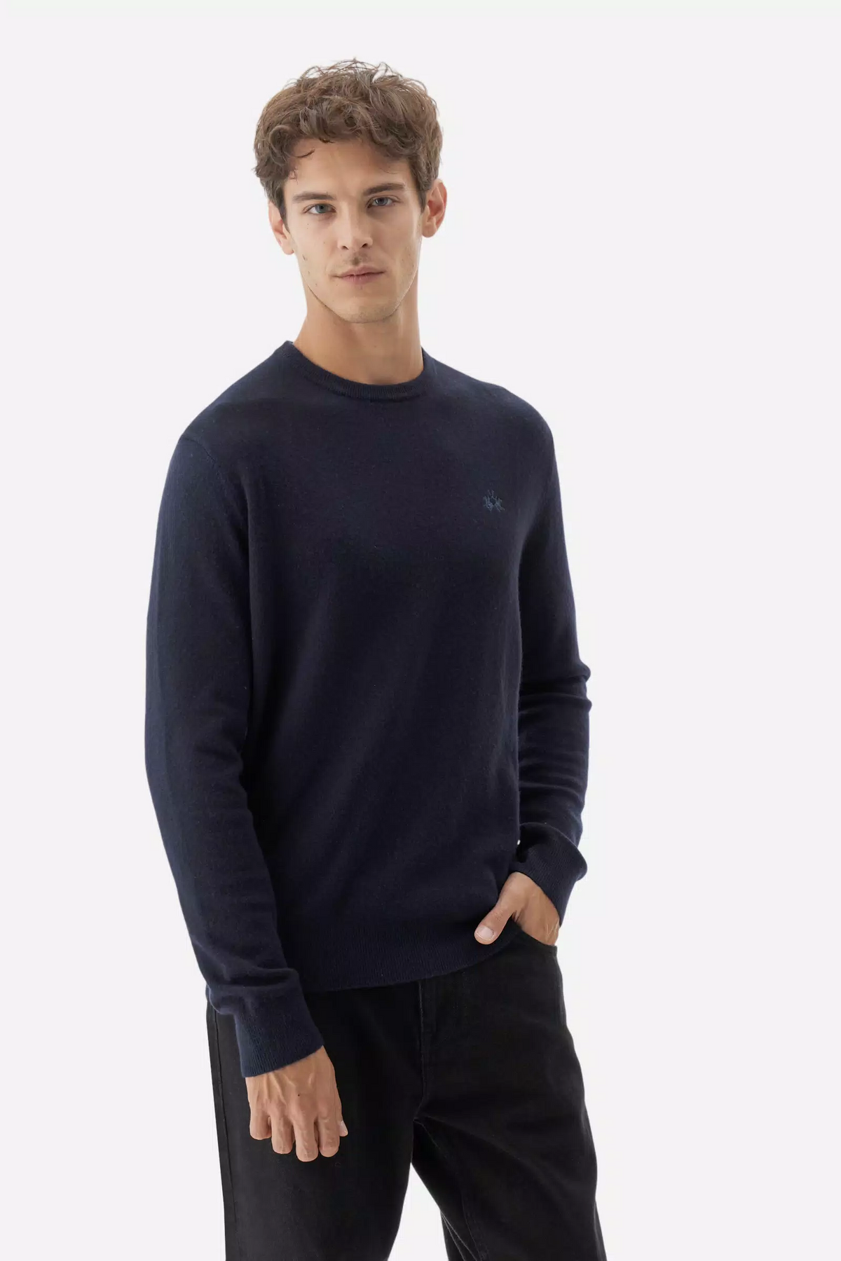 CREW NECK SWEATER WOOL CAS