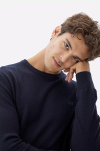 CREW NECK SWEATER WOOL CAS