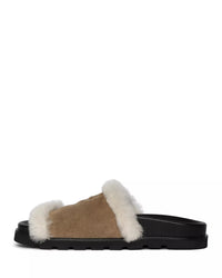 Teddy Bare Shearling Mules