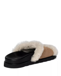 Teddy Bare Shearling Mules